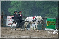 4H-3rd--073016-1574.jpg