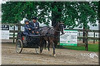 4H-3rd--073016-1577.jpg