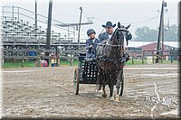 4H-3rd--073016-1585.jpg