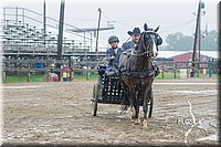 4H-3rd--073016-1586.jpg