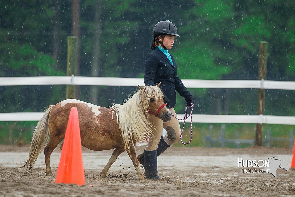 4H-3rd--073016-1684.jpg
