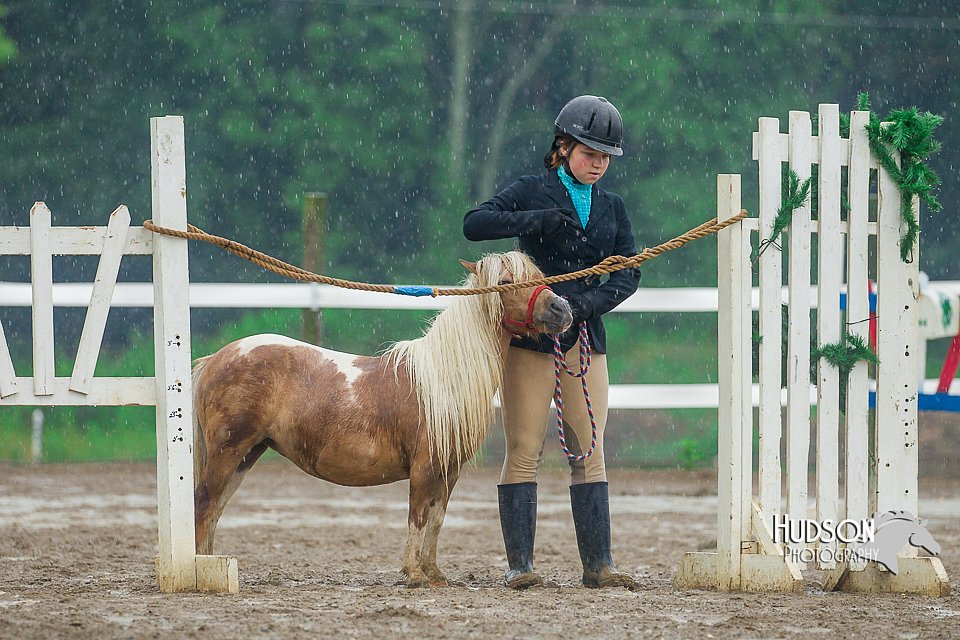 4H-3rd--073016-1687.jpg