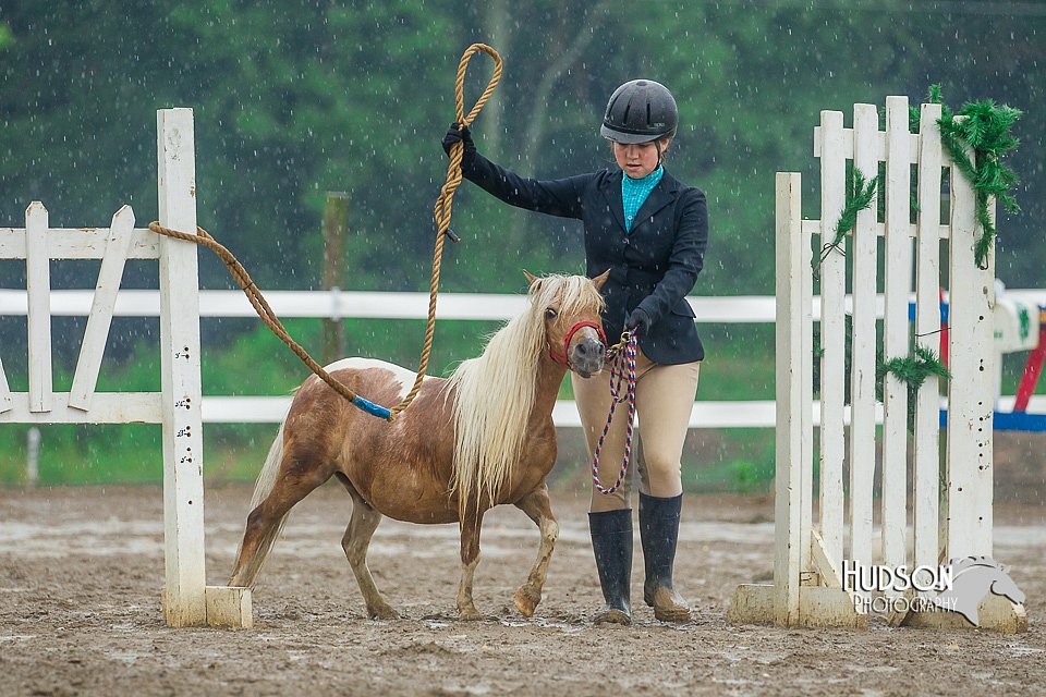 4H-3rd--073016-1688.jpg