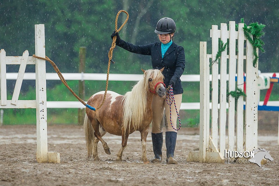 4H-3rd--073016-1689.jpg