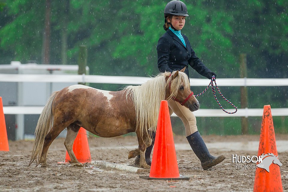 4H-3rd--073016-1691.jpg