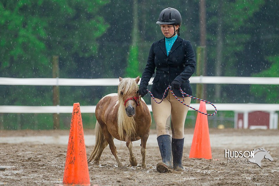 4H-3rd--073016-1693.jpg