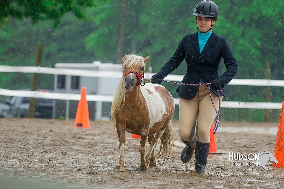 4H-3rd--073016-1696.jpg