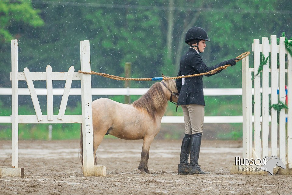 4H-3rd--073016-1702.jpg