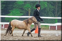 4H-3rd--073016-1699.jpg