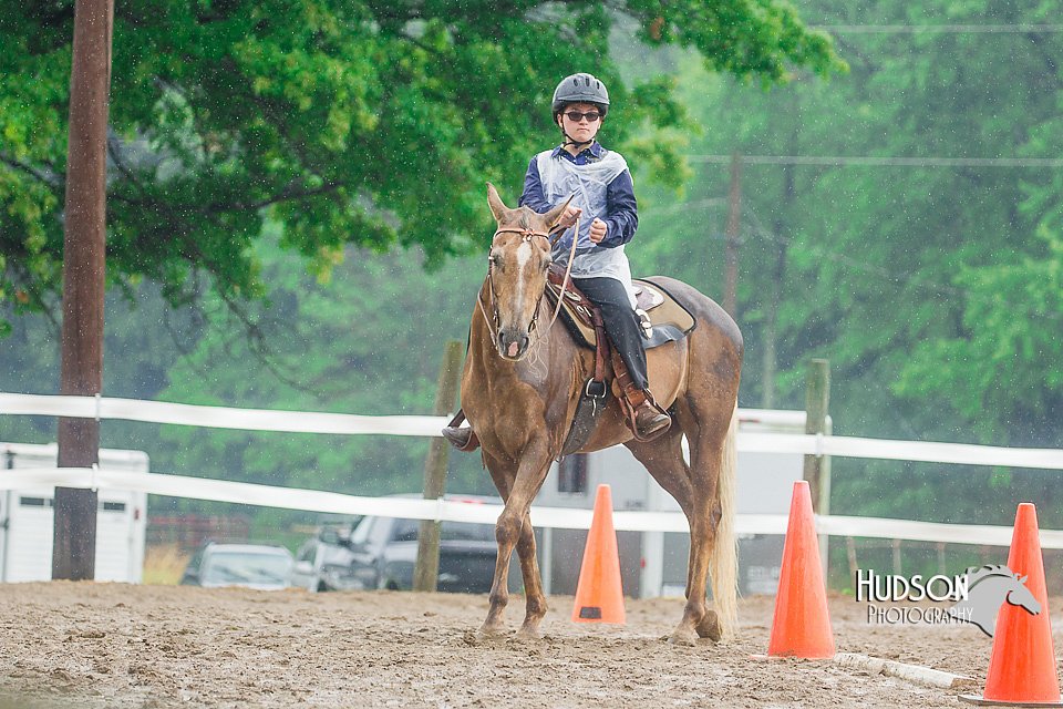 4H-3rd--073016-1840.jpg