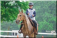 4H-3rd--073016-1845.jpg