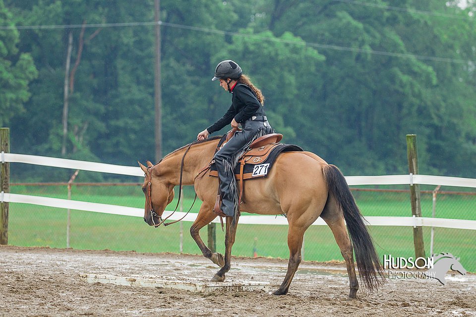 4H-3rd--073016-1931.jpg
