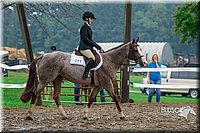 4H-3rd--073016-1898.jpg