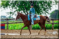 4H-3rd--073016-2471.jpg