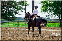 4H-3rd--073016-2480.jpg