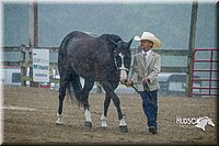 20. Western Grooming & Showmanship - Jr. Division