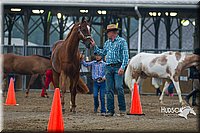 24. Cloverbud Showmanship