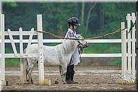 31. Miniature Horse - Jr. Division