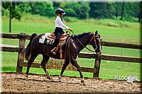 48. Working Western Horse or Pony