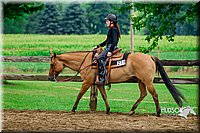 50. Western Pleasure Horses, Sr. Rider