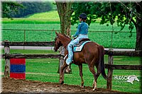 51. Western Pleasure Horses, Jr. Rider