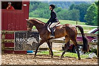 56. Classic Type HUS Horses - Sr. Rider