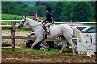 58. Classic Type HUS Horses - Jr. Rider