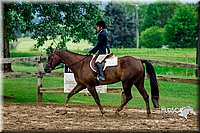 59. Breed Type HUS Horses - Jr. Rider