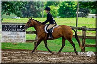 61. Hunter Under Saddle Ponies Large