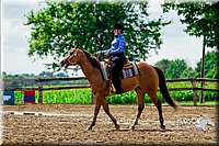 64. Beginner Western Horsemanship