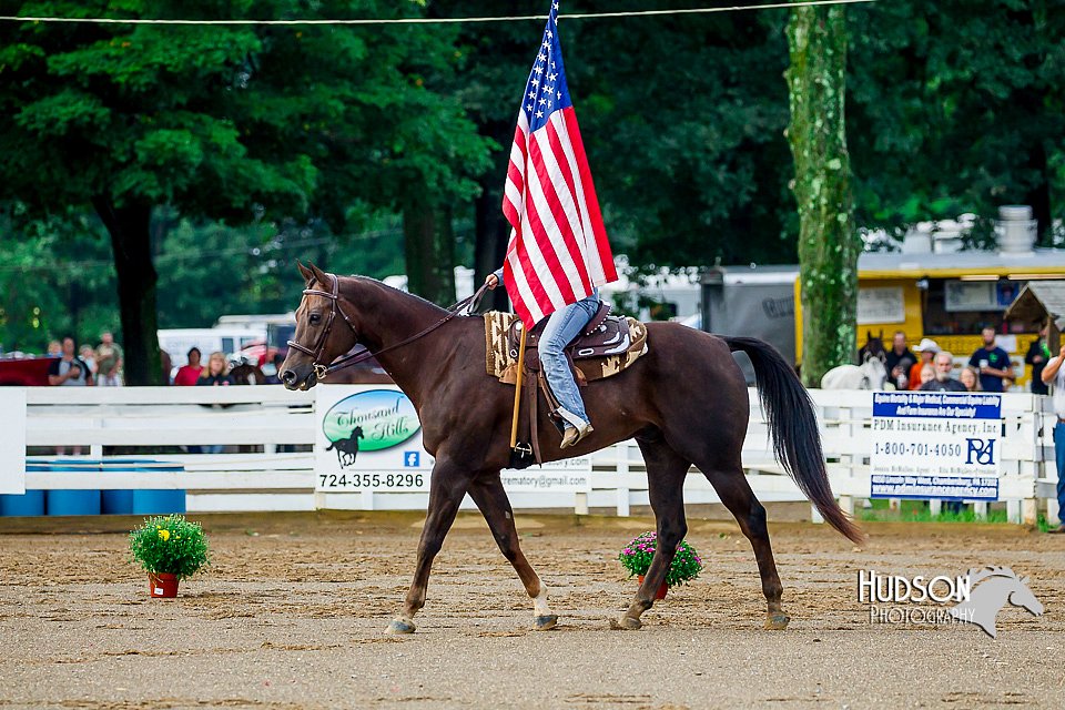 4H-District-16-0915.jpg