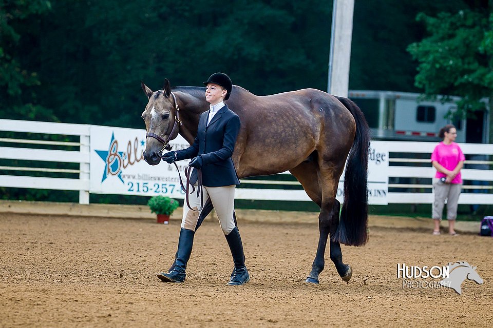 4H-District-16-0005.jpg