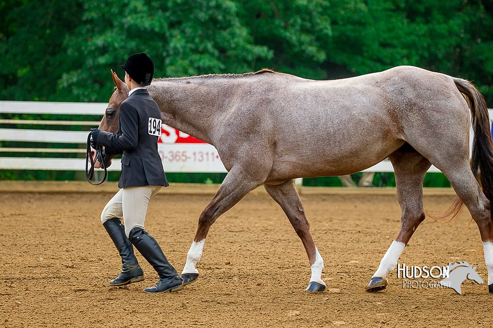 4H-District-16-0034.jpg