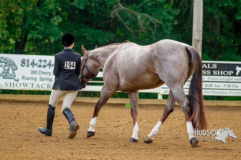 4H-District-16-0036.jpg