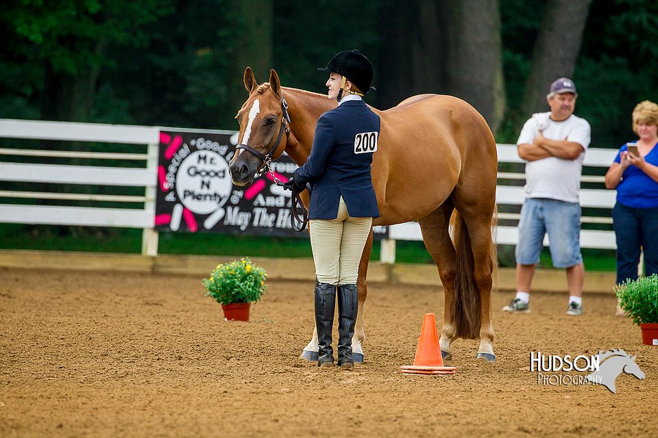 4H-District-16-0045.jpg