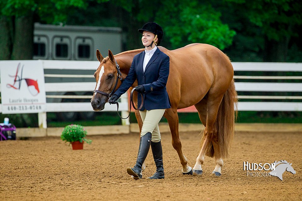 4H-District-16-0049.jpg
