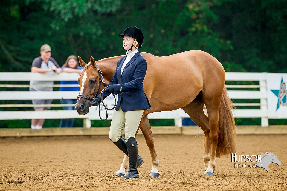 4H-District-16-0051.jpg