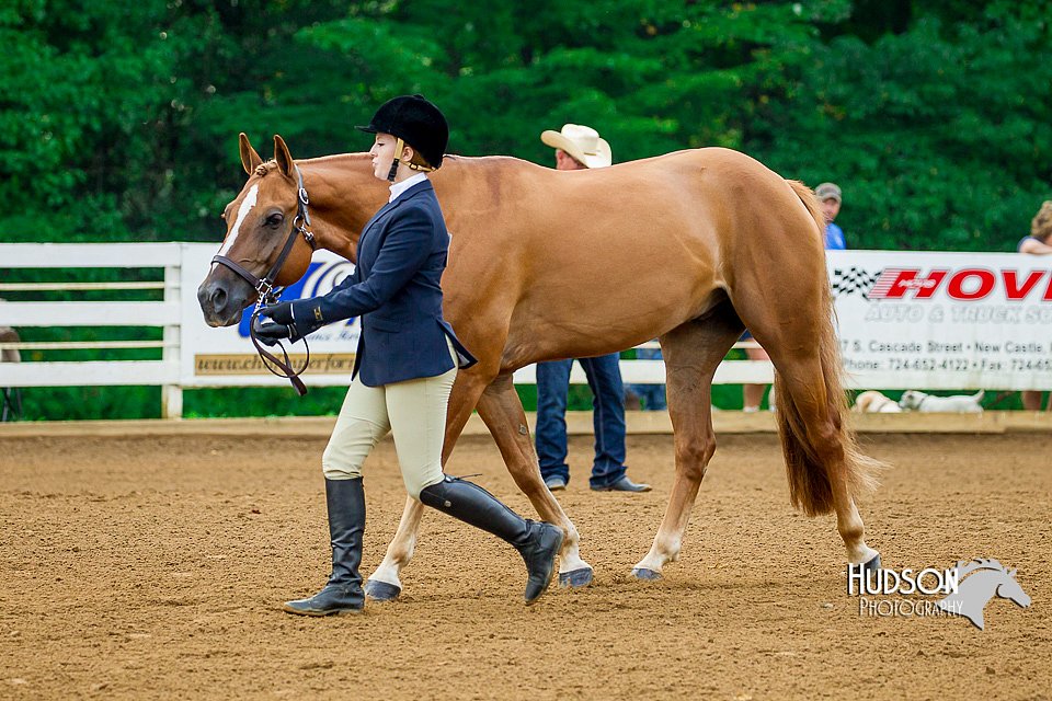 4H-District-16-0056.jpg