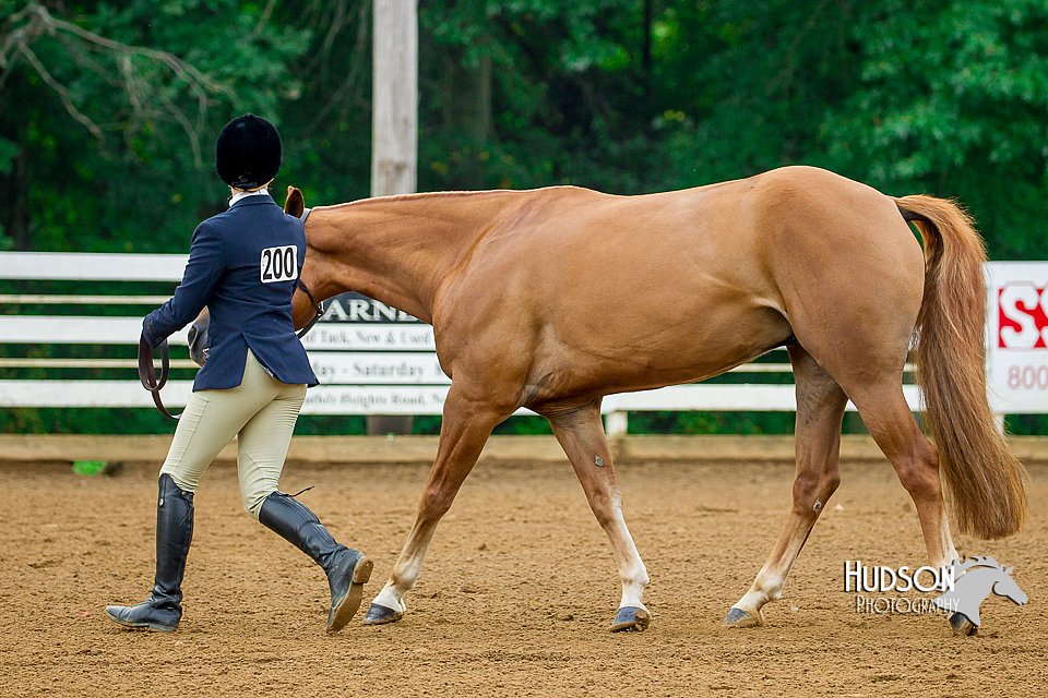 4H-District-16-0059.jpg