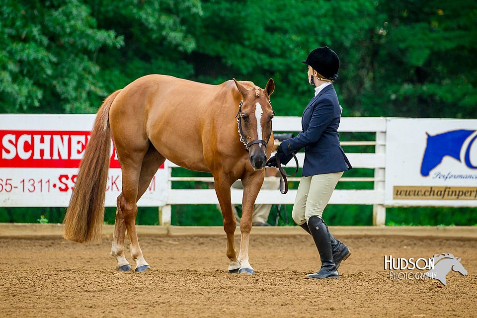 4H-District-16-0067.jpg