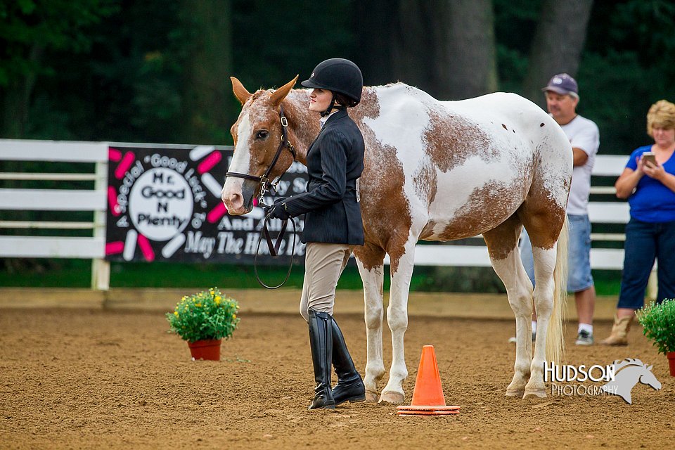 4H-District-16-0068.jpg