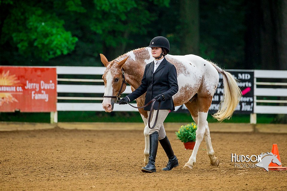4H-District-16-0069.jpg