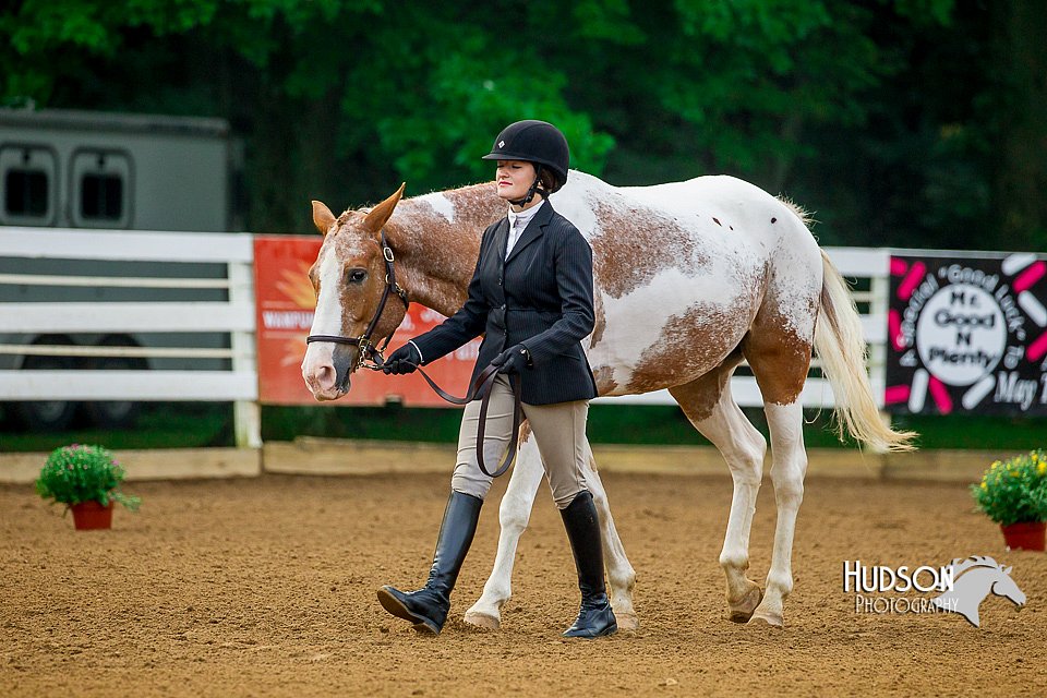 4H-District-16-0070.jpg