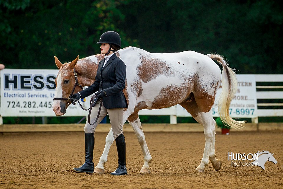 4H-District-16-0073.jpg