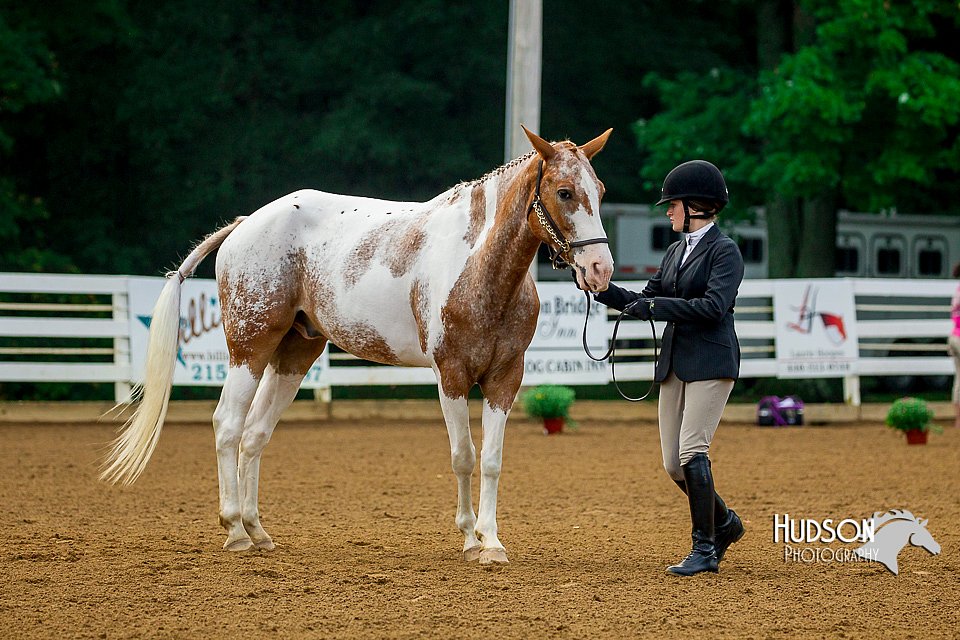 4H-District-16-0077.jpg