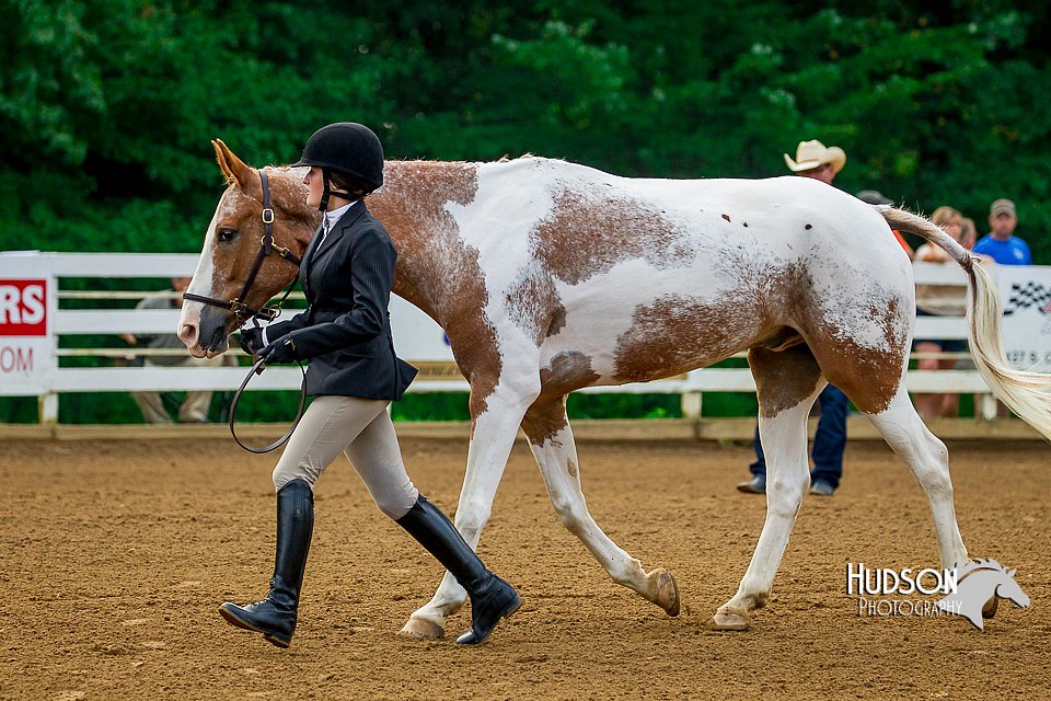 4H-District-16-0080.jpg
