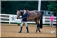 4H-District-16-0005.jpg