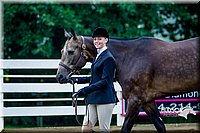 4H-District-16-0014.jpg