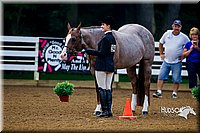 4H-District-16-0021.jpg