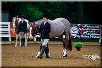 4H-District-16-0022.jpg